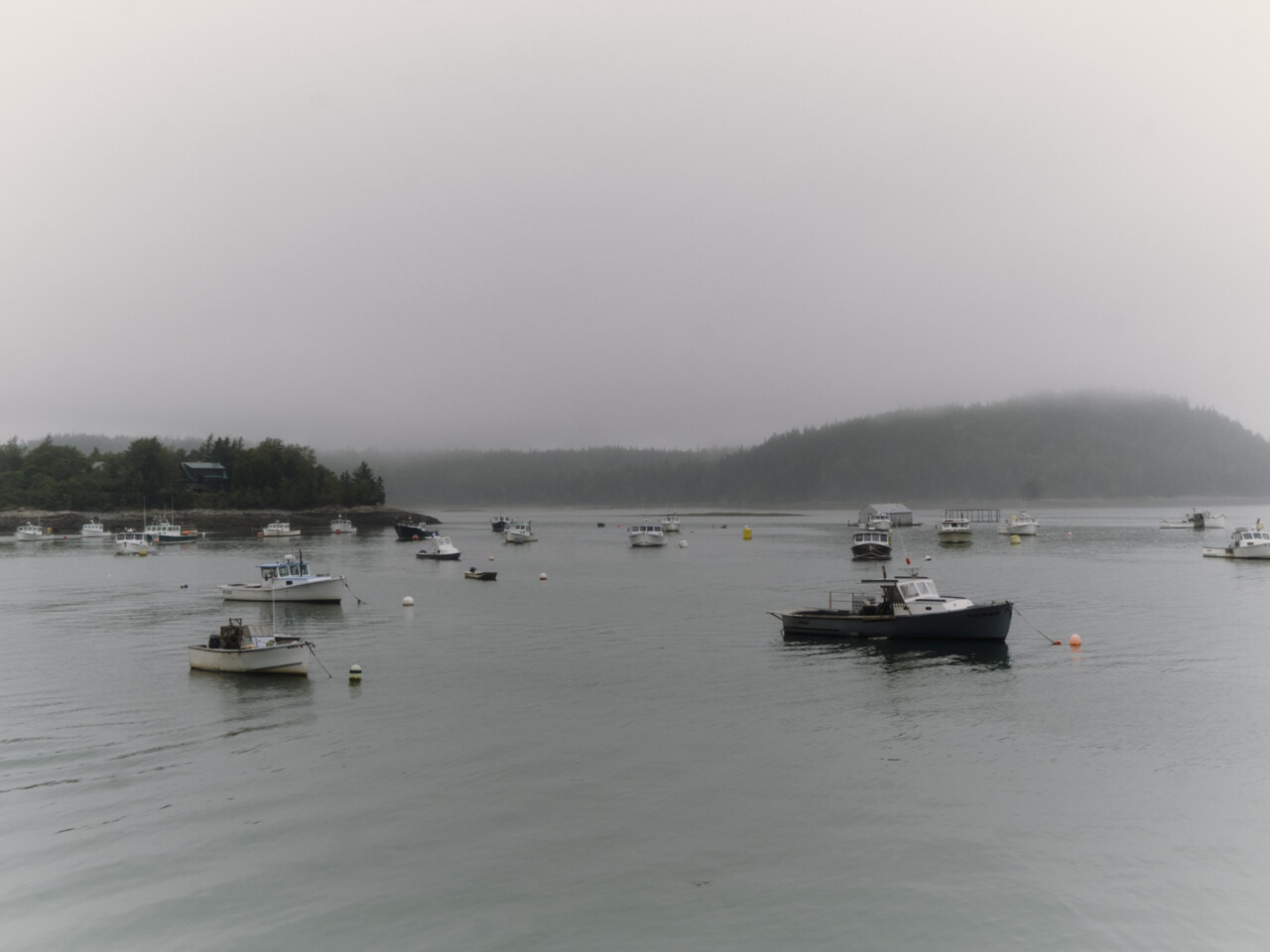 The working waterfront in Jonesport, Maine.