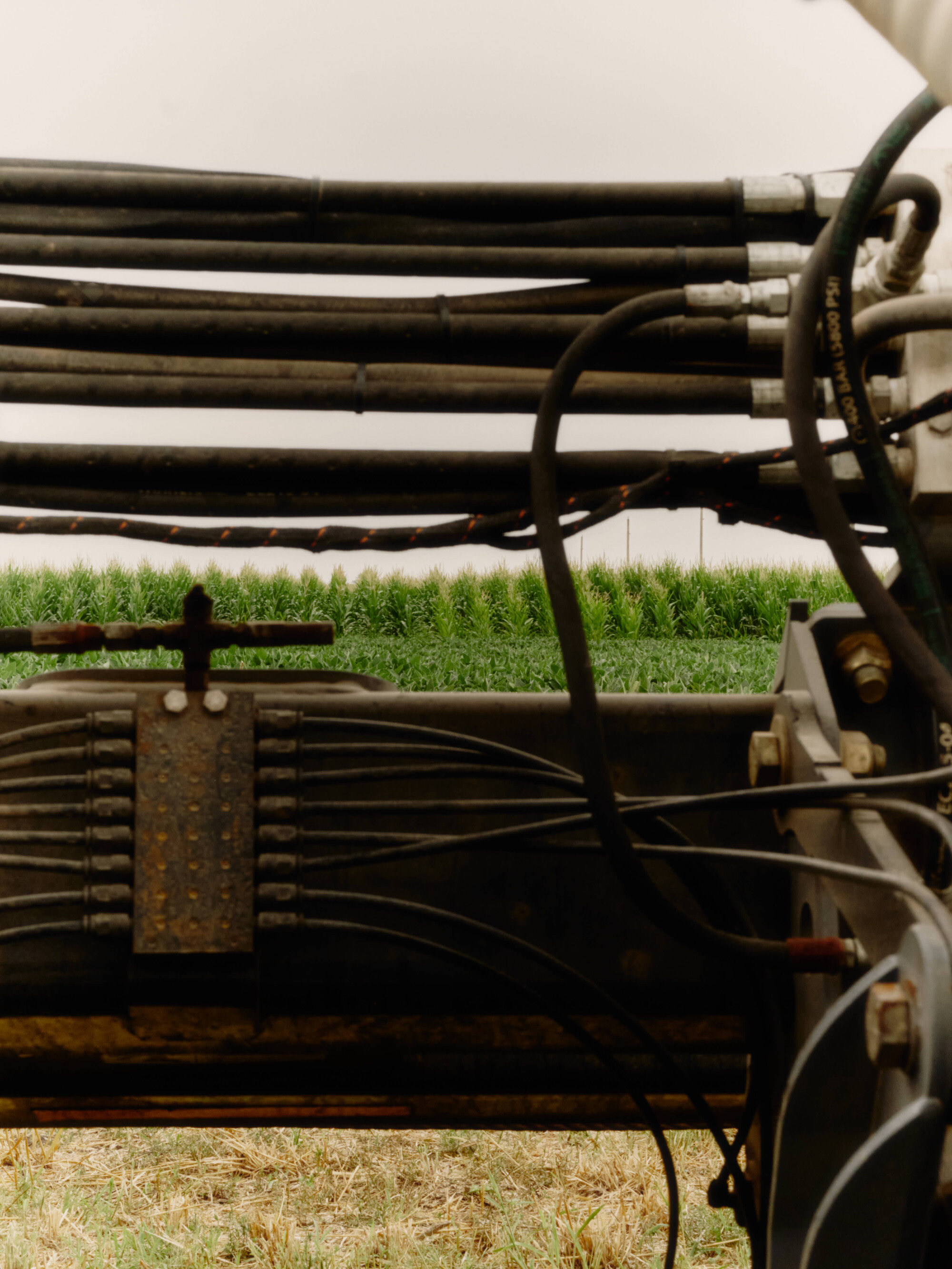 Three Iowa Corn and Soy Farmers Challenge the Industry That Raised Them