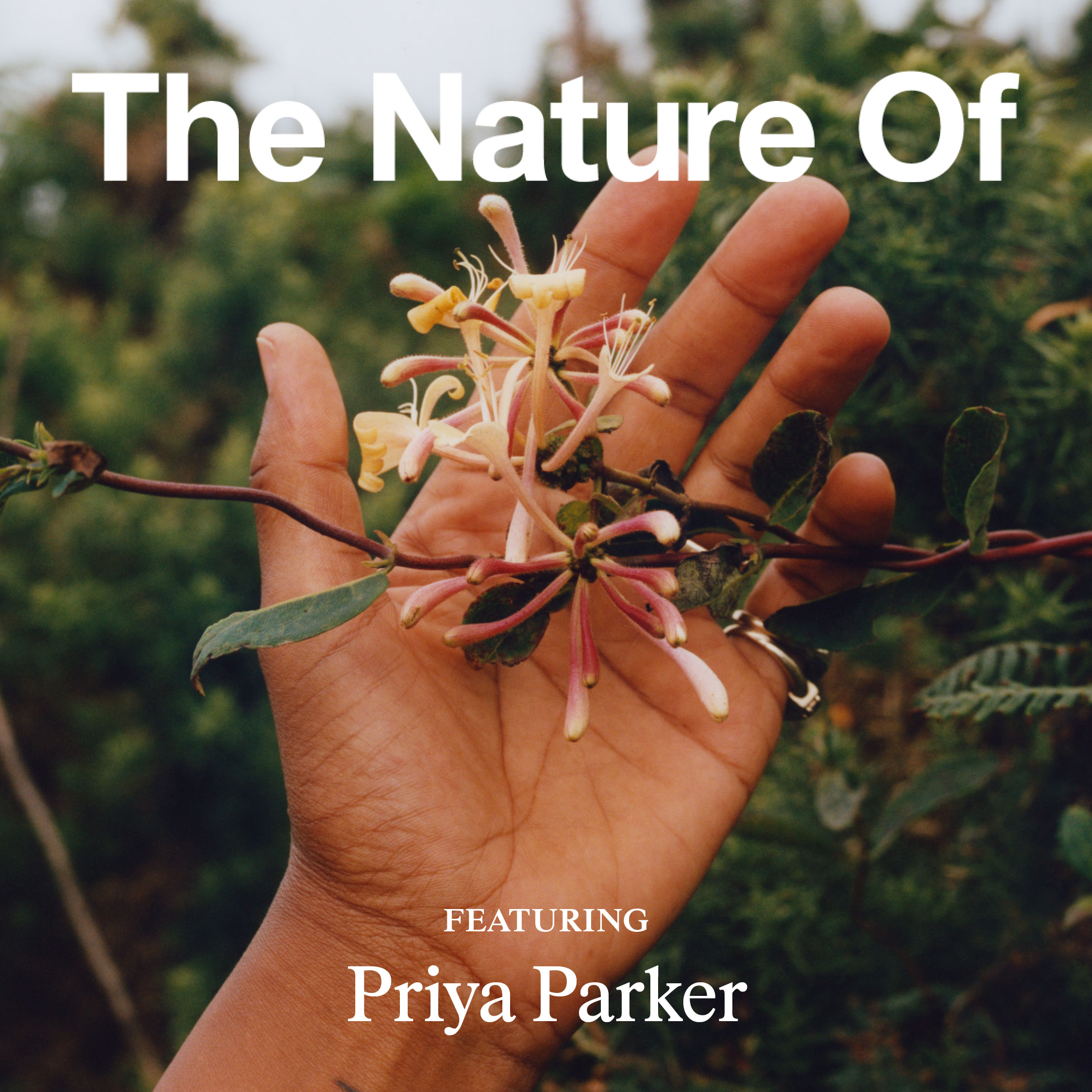 How to Be an Artful Fighter With Priya Parker