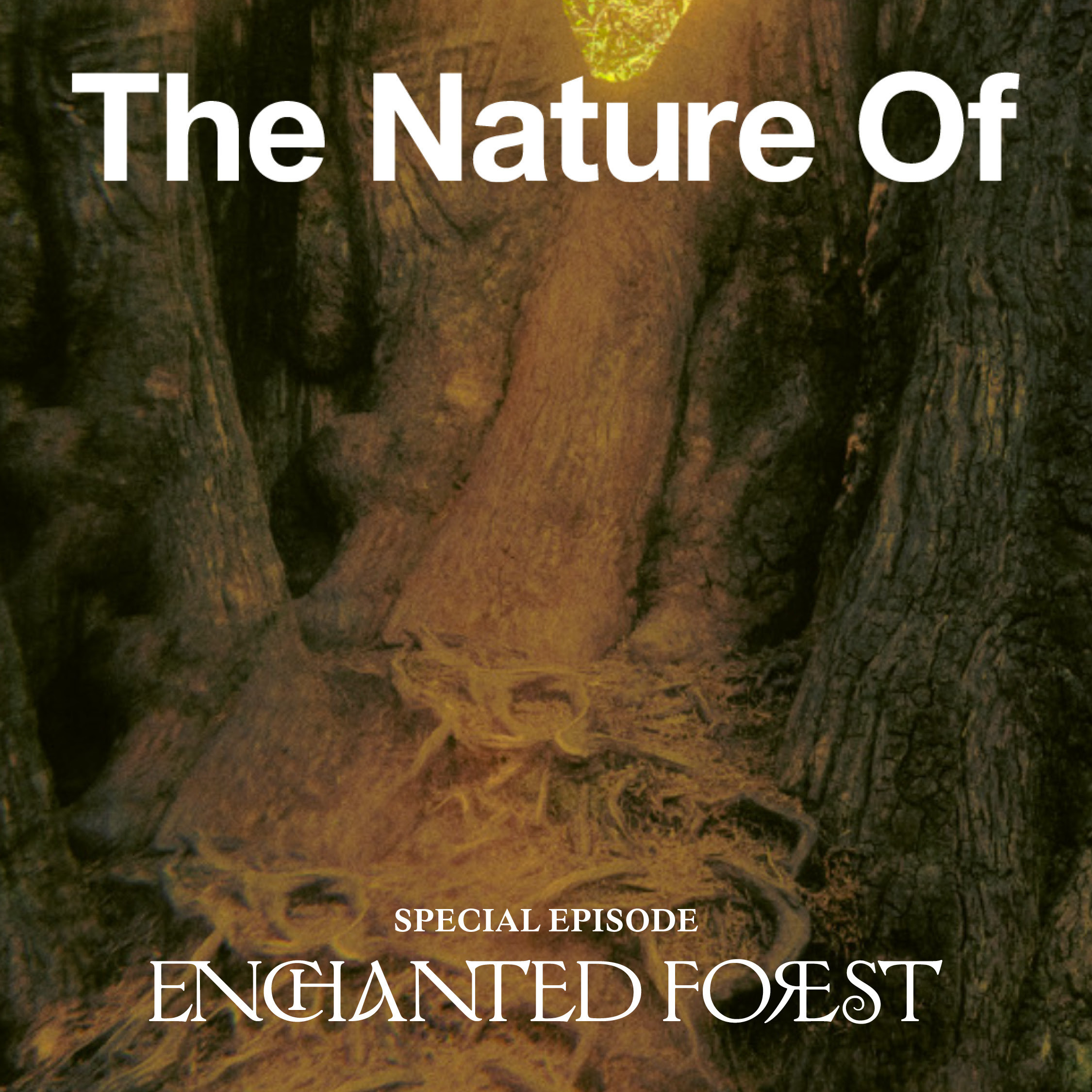 Step Into an Enchanted Forest With Robin Wall Kimmerer, Giuliana Furci, and More