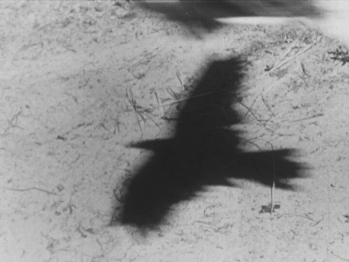 hero gallery image 18